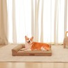 Rainmr Orthopedic Dog Bed Medium Size Dog, Memory Foam Dogs
