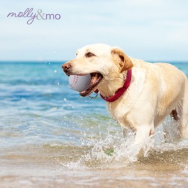 Molly & Mo Squeaky Dog Chew Toy Set (Baseball Red)