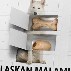 printplanet Dog Advent Calendar with Treats - Motif I Love Alaskan Malamute - Christmas Calendar for Dogs - 2023