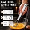 Stainless Steel Mini Spring Hand Whisk for Milk Froth, Eggs,
