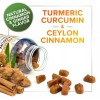 Nature's Nutrition Turmeric Ginger Cinnamon Gummies - Vegan Turmeric Curcumin