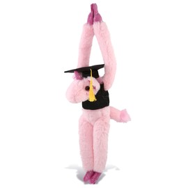 DolliBu Long Arms Unicorn Graduation Plush Toy - Super Soft Graduation Stuffed Animal Dress Up with Gown and Cap with Tassel Outfit - Gift with Personalization - 21 Inches
