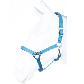 HKM by Reiterladen24 Basicline Lined Headcollar Turquoise / Aqua Shetty