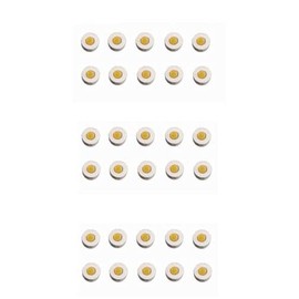 HPS Sujok Therapy Acupressure Chakra (Small) Magnets (Set of 30)