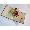 Happy birthday 3D pop-up greating card with envelope
