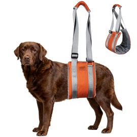 Dog Lift Harness,Dog Sling for Large Dog to Help Senior,Injured,Disabled,XL