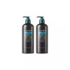 Black Bean (2개/샴푸) 블랙빈 증상 개선 샴푸 520ml 2개 Black Bean Symptom Improvement Shampoo 520ml (2-Pack) [Black Bean Anti-Hair Loss Shampoo (2 pieces)]