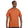 Gildan Men's Heavy Cotton T-Shirt (Sunset) (Small)