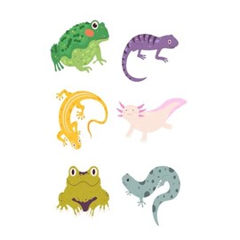 Self-awareness & Gratitude Journal for Children (Reptiles): With Prompts to Encourage Self Reflection, Gratitude and a Positive, Solution Oriented Attitude. Picture & Story Format.