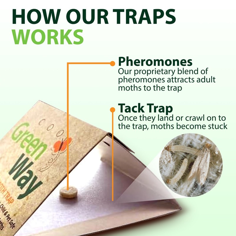 Greenway Clothing Moth Traps with Powerful Pheromone Lures for Effective,