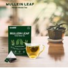 Mullein Tea Bags for Lungs - 20 Teabags (2.47oz/70g), 100%