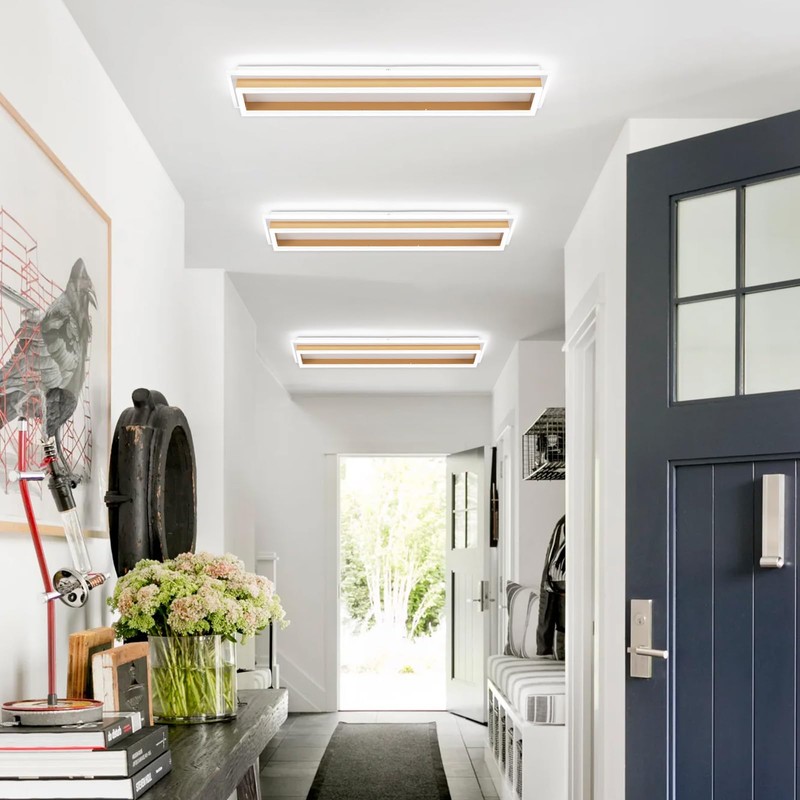 Vloitgol Dimmable Led Ceiling Light with Remote Control 31.5in Modern