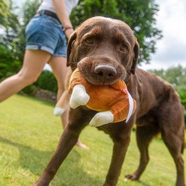 Minifeet Chicken Dog Toy - Funny Gift for All Dog Owners and Playful Pets Let Your Four-Legged Friend Frost, Cuddle and Fetch with this Humorous Toy