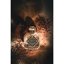 Champagne of black tea said to smell like green grapes, Darjeeling perfume / 청포도 향이 난다고 하는 홍차의 샴페인, 다즐링 향수