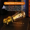 Decoaui ST64 LED E26 Vintage Edison Light Bulbs, Amber Glass,