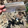 3X Pocket Magnifier, Portable Fresnel Lens, Small Magnifying Sheet, Card