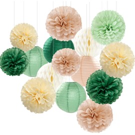 Sage-Olive Green Party-Decorations Paper-Flowers Lanterns - 15PCS Safari Boho Birthday Rustic Tissue Pom Poms Streamers, Baby Shower Neutral Garden Wedding Graduation Hanging Supplies Decor Hugfond