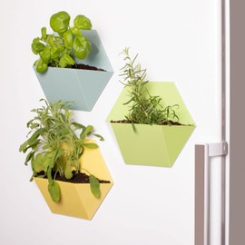 Thumbs Up Pack of 3 Magnetic Wall Planters Flower Pots Hanging Multi-Colour