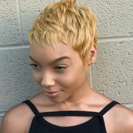 Fereowth Short Wig Human Hair Wigs for Women Natural Pixel Cut Shorts Human Hair Straight Brazilian Hair Layer with Bangs Wigs (27#)