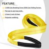 Pindex 2 Pack 2" x 20' Web Lifting Sling 11000