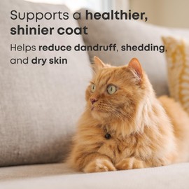 Omega 3 Fish Oil for Cats - Promotes Healthy Skin, Shiny Coat, & Strong Joints - No More Cat Dandruff - 4 oz with EPA & DHA 330 mg Omega-3's per 1 mL - Freshly Bailey