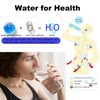 Hydrogen Water Bottle, Hydrogen Water Bottle Generator[Rechargeable], Hydrohealth Hydrogen Water
