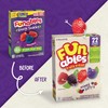 Funables Fruity Snacks, Mixed Berry Flavored Snacks, 0.8 oz 22
