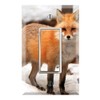 Graphics Wallplates - Red Fox in Snow River - Single