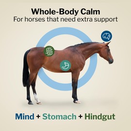 Formula 707 Support Pro Daily Packs for Horses - 28 Day Supply - Calming, Ulcer Support, Hindgut Health, Focus & Stress Relief
