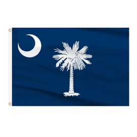 AhfuLife South Carolina Flag 3x5 Ft, South Carolina State Flags Polyester Double Sided with Brass Eyelets, SC Flag SC State Flag for Party Bar Garden Decoration Indoor Outdoor
