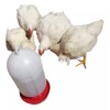 Plásticos genéricos Bebedero Para Aves, Pollos, Gallinas Etc. Capacidad 4