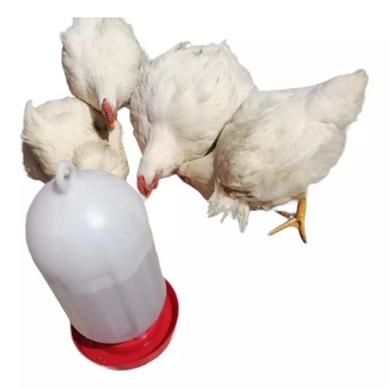 Plásticos genéricos Bebedero Para Aves, Pollos, Gallinas Etc. Capacidad 4