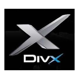 Sleeping With The Enemy [DIVX]