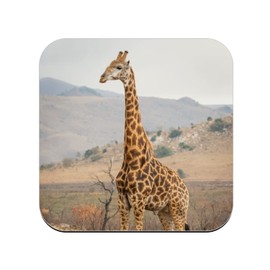 Cork Coaster - Giraffe in the Savannah Wildlife Animals Africa - 1 Piece (95x95mm)