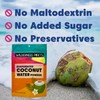 Wilderness Poets, 100% Evaporated Coconut Water Powder - No Maltodextrin,