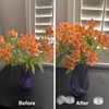 12 Pcs Plastic Flower Frog, 2.76 Inches Expertly Crafted Floral