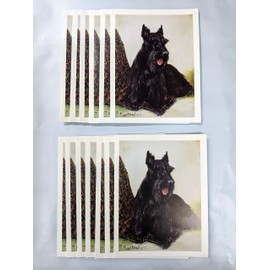 Ruth Maystead Scottish Terrier and Plaid Throw 12 Notecards & 12 Envelopes