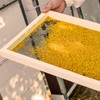 Earthbreath Bee Pollen Granules - 200gr - Pure Raw Natural