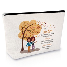 Sfodiary Sister Gifts from Sister Makeup Bag Friendship Gifts for Women Friends Birthday Christmas Graduation Present for Teen Girl Soul Sister in Law Travel Cosmetic Bag Zipper Travel Pouch