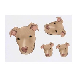 Azeeda 4 x 'Rehbrauner Pitbullterrier' Temporäre Tattoos - Wasserfest, Hautfreundlich & Ungiftig · Transfers in Verschiedenen Größen (TO00079308)