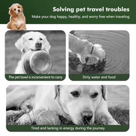 Collapsible Dog Bowls, Travel Food and Water Bowl with Lid for Cats and Dogs, 2-in-1 Portable Food Feeding and Storage Solution, Perfect for Traveling, Camping & Walking (S/ 60oz)