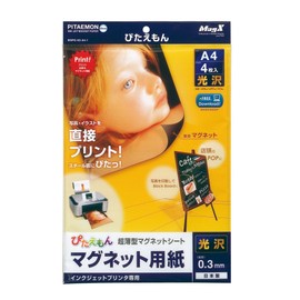 Mag-X Magnetic Paper.