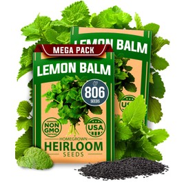 HOME GROWN Lemon Balm Seeds– 806 𝗡𝗢𝗡-𝗚𝗠𝗢 Heirloom Seeds for Planting – Melissa officinalis Herb for Tea, Garden, Indoor or Outdoor Growing–Plant for Pots, Beds & Hydroponics(Melissa officinalis)