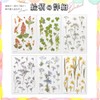 moin Moin 2204sl138 Seal, Pressed Flowers, Clear, Transparent, Random Set