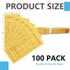 100 Pcs Money Envelopes for Cash with Gummed Flaps –