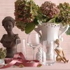 LAV Wine Glasses Red or White, All Purpose Set of