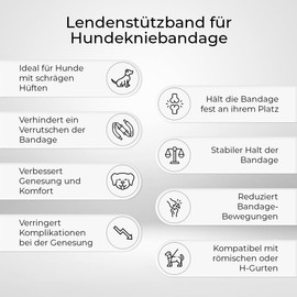 Ortocanis - Support strap for knee support dog - prevents slipping and secures the knee brace - promotes stability - size only webbing: L 69-96 cm