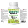 Berberine LipoMicel 500mg (60 Count (Pack of 1))