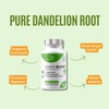 Detox, Anti-Bloating, Anti-Water Retention Shape Boost Tablets | Dandelion Root