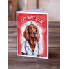 Caroline's Treasures Irish Setter Get Well Soon Greeting Cards Pack
